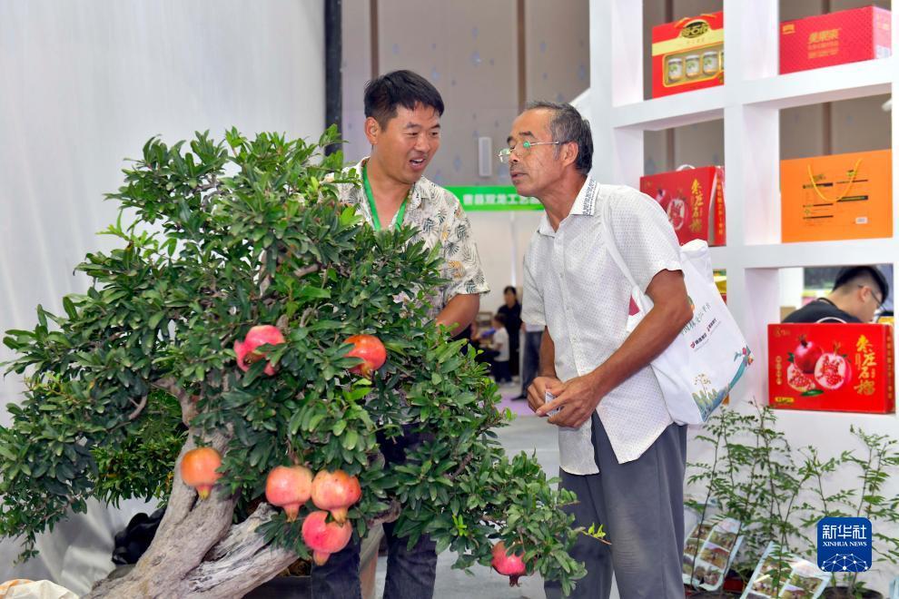 汇丰真人娱乐